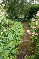 Brick path through the Rose Walk leads between frothy Alchemilla mollis to a secluded seating area. Ashley Farm, Stansbatch, Herefordshire, UK