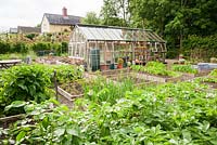 The Kitchen Garden with raised beds and a greenhouse in the middle. Ashley Farm, Stansbatch, Herefordshire, UK