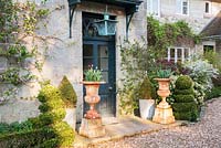 Front door framed by tulip planted urns, clipped box, trained ornamental quinces and skimmia. Forest Lodge, Pen Selwood, Somerset, UK