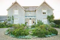 Circular bed in front of the house is planted with herbs including sage and rosemary, plus silvery Stachys byzantina 'Silver Carpet', self seeded aquilegias and Rosa 'Stanwell Perpetual'. Westbrook House, West Bradley, Somerset, UK