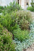 Circular bed in front of the house is planted with herbs including sage and rosemary, plus silvery Stachys byzantina 'Silver Carpet' and white Potentilla fruticosa 'Abbotswood'