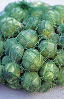 Net bag of commercially grown brussel sprouts