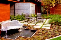 Patio and water feature with planting of Lonicera pileata and Acer griseum 