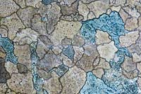Patchwork of lichen on stone