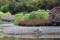 Stream surrounded by modern style planting with Calluna vulgaris