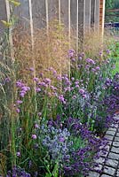 Deschampsia, Verbena bonariensis,Eryngium and lavender along fence of vertical, recycled scaffolding boards. Escape To The City. RHS Tatton Park Flower Show 2013