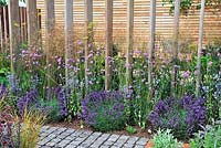 Deschampsia, Verbena bonariensis,Eryngium and lavender along fence of vertical, recycled scaffolding boards - Escape To The City - RHS Tatton Park Flower Show 2013 