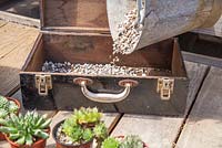 Step by Step - Recycled tool chest used as succulent container. Adding compost mix