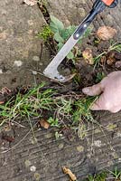 Removing weeds from between paving joints using a weeding knife