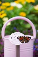 Inachis io - Peacock butterfly on pink watering can