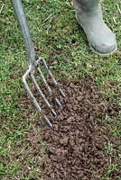 Repairing a damaged lawn - work in and around the damaged area going deep into the grass at either side