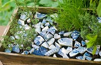 Herb box with blue china decorative mulch