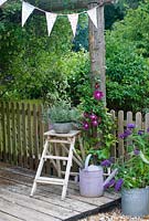 Rustic arbour with Clematis 'Rouge Cardinal' 