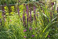 Borders includes Euphorbia Wallichii, Osteospermum Tresco Purple, Achillea Terracotta, Carex Brachtrica, Salvia mainacht, Allium Sphaerocephalon. The QEF Garden For Joy. 