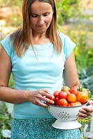 Woman holding colander of recently harvested tomatoes.