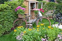 Bicycle in cottage garden, Rudbeckia and Pelargonium