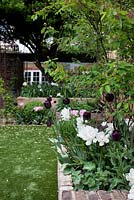 Raised bed with Tulipa 'Angelique' - pink Tulipa 'Queen of the Night' - dark and Tulipa 'Mount Tacoma' - white