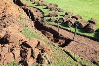 Drainage trench being dug, Kirstenbosch Botanical Garden, Cape Town, South Africa