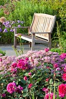 Wooden bench in border planted with Phlox paniculata 'Lilac Time', Achillea 'Pink Grapefruit' and Rosa 'Blackberry Nip'