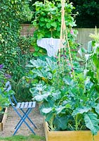 Garden with vegetable beds