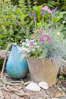 Seaside pot (Lavender 'Hidcote', Erigeron 'Profusion', Festuca, Cineraria and Limonium)
