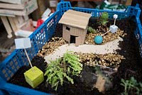 Pothole gardening at Dalston Flower Show at the Dalston Eastern Curve Garden.  Chelsea Fringe 2013 - still life of miniature garden in crate