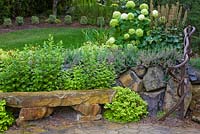 Stone bench in garden with Teucrium chamaedrys, Hydrangea 'Annabelle', Ligularia, Spiraea 