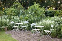 Geranium pratense Alba, Centranthus ruber Albus, Rosa alba Semiplena and cafe tables and chairs in the white garden 