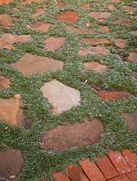 Dymondia margaretae growing between paving stones