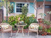 Furniture in front garden and mixed borders with planting including, Aeonium, Portulacaria, Kalanchoe, Senecio, Graptoveria, Crassula, Ledebouria 
