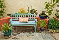 Wooden bench surrounded by containers planted with Yucca filamentosa, Dracaena, Crassula, Agave attenuata, Aeonium, Aloe, Euphorbia and Crassula 
