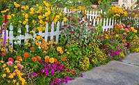 Colourful Summer border with Heliopsis, Zinnia, Viola, Monarda, Rudbeckia, Petunia, Liatris 
