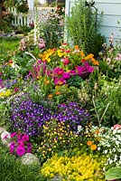 Colourful Summer border with Petunia, Viola, Sedum and Tagetes 