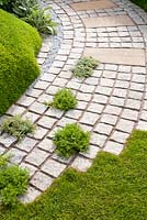 Curving path of granite cobbles with Chamaemelum nobile - chamomile