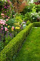 Informal border with Rosa 'Marilyn', 'Passionate Kisses', 'Living Easy', Lilium, Clematis and Salvia 