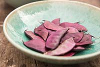 Hyacinth Beans - Lablab purpureus