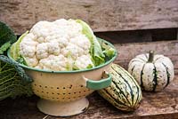 Freshly picked vegetables including savoy cabbage, cauliflower and gourds