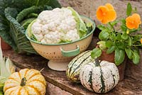 Freshly picked garden produce including Savoy cabbage with Cauliflower, Gourds, Sweetcorn 'Earlibird' and Viola