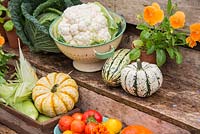 Freshly picked garden produce including Savoy cabbage with Cauliflower, Gourds, Sweetcorn 'Earlibird', Viola, Pumpkin, Tagetes and a bowl of harvested Tomatoes 'Tigerella', 'Big Boy' and 'Sungold'