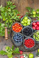 Display of harvested Rose hips, Sloe berries - Prunus spinosa, Crab apples, Acorn, Hawthorn - Crataegus, Wild blackberries - Rubus fruticosus
