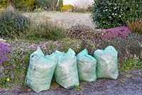 Green plastic sacks full of garden waste awaiting collection by the local council for recycling