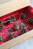 Step by step of making a simple, rustic Christmas garland with fir cones and pine needles - The finished garland in a storage box lined with red tissue paper. Store before and after use
