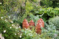 Rhubarb Forcing Pots in Vegetable and Cutting Garden with Rosa 'Alfred Carriere'