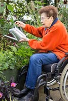 Elderly disabled woman watering a raised bed