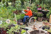 Elderly disabled woman watering a raised bed