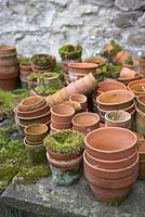 Old moss-covered terracotta pots