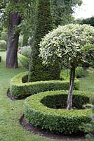 The Dower House Garden at Morville.  Variegated holly clipped into standards.  Clipped box hedging surrounds. Topiary Yew obilisk.  The Canal Garden.