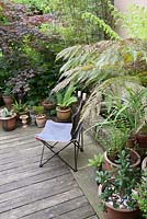 Folding deck chair in shady corner of garden near raised brick pond with Indian sandstone paving. Planting includes Agave, Dryopteris and Dicksonia antartica 