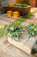 Vegetable garden in metal container also used as table. Tulips on wooden table.
