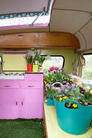 Caravan inside decorated with plastic baskets filled with Hyacinths, Tulipa 'Purple Prince', Narcissus 'Rip van Winkle', Anemone blanda, Narcissus and Myosotis.